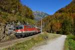 1142 685 mit einem REX am 14.10.2017 bei Obertraun.