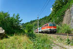 1142 644 ÖBB als REX1783 (Passau Hbf - Linz Hbf) bei Ingling, 22.07.2020