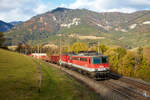 Am 8. November 2023 fahren die 1142 638 und 1144 083 bei Küb bergwärts.