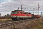 Am Nachmittag des 21.11.2023 warten die 1142 684 und die 1144 042 mit einem kurzen Güterzug von Wien Zvb nach Graz Vbf in Wiener Neustadt auf die Weiterfahrt.