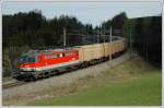 1142 654 „Philomena“ mit einem Hakschnitzelcontainerganzzug auf dem Weg ins Waldviertel, aufgenommen am 10.4.2008 bei der Talfahrt auf der Semmering Nordrampe zwischen Eichberg und Kb.