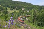 1142.663+1116 mit GAG-53515 am Kbgraben-Viadukt. 15.6.13