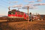 1142 673 mit R 7164 in der Abendsonne kurz nach Zeiselmauer-Königstetten.