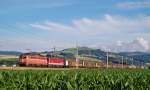 Mit einem Güterzug sind am 24.06.2014 1142 575 und 1142 685  in Nussbach durchgefahren.