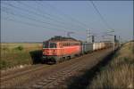 1142.564 mit Güterzug am 04.08.15 bei Gramatneusiedl.