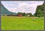 Eine 1144 rollt mit einem Gterzug von Mnchen Richtung Kufstein im Sommer 2005 bei Niederaudorf vorbei.