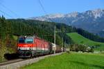 Die 1144.085 und 253 folgten mit dem G 54601 nach Bruck an der Mur Frachtenbahnhof.