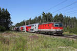 1144.210 fährt mit ihren Reg.auf der Neunkirchner-Allee kurz vor St.Egyden am 30.6.18