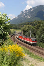 Bei schönster Sommerstimmung fährt G-55501 mit 1144.276+270 in Payerbach richtung Süden. 4.8.18