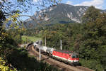 Kurz nach dem Schwarzatal-Viadukt,fährt 1144.250 mit GAG-91027 in Payerbach bergwärts.