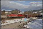 1144 016 + 1144 108 mit Güterzug bei Bruck/Mur am 29.01.2019.