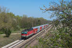 1144 239 mit dem R 2343 nach Wiener Neustadt Hbf.