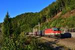 1144 100 mit einem Stahlzug am 18.09.2019 bei Ingling.