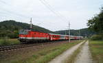 1144 068 mit dem REX 1779  RegioBiking  (Passau Hbf - Linz Hbf) bei Wernstein am Inn, 30.08.2019.