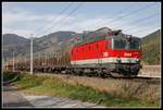 1144 286 mit Güterzug in Bruck an der Mur - Oberaich am 21.10.2019.