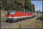 1144 006 + 1142 684 mit einen kurzen Güterzug bei Steinhaus am 22.10.2019.