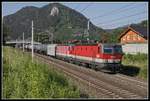 1144 027 + 1144 074 mit G54076 bei Stübing am 24.06.2020.