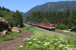 Der DG54972 von Graz Vbf nach Linz Vbf war am 22.6.2021 bespannt mit der 1144 054 und 1144 069 und fährt hier kurz hinter Selzthal in Richtung Admont.