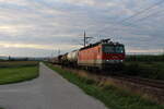 Am 18.8.2021 fuhr die 1144 211 mit dem NG63207 von Krems/Donau nach Wien Zvb kurz hinter Etsdorf-Straß mit knapp 30 Minuten Vorsprung im Sonnenuntergang ihrem Ziel entgegen.