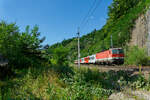 1144 060 ÖBB mit dem R 5923 (Passau Hbf - Wels Hbf) bei Ingling, 22.07.2020