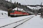 Gegen Mittag des 2.2.2023 beruhigte sich der Schneefall am Semmering etwas begann aber später wieder mit kräftigem Niederschlag.