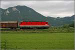 Seitenaufnahme der Innsbrucker 1144 200 die Hier einen Gterzug in Richtung Tirol bespannt.