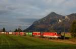 1144 220 mit einem Gterzug am 06.11.2010 bei Oberaudorf