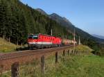 Die 1144 081 und die 1016 047 mit einem Gterzug am 08.09.2012 unterwegs bei Penk.