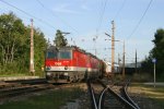 Beim Warten auf meinen 4020er konnte ich von der Bahnsteigkante aus den G-55072 mit 1144.205+277 bei der Durchfahrt in Eichberg am 21.9.12 noch fotografieren.