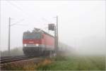 1144 107 mit dem RadExpress Donau (Wien FJB - Passau Hbf) im Tullnerfelder Nebelmrchen, kurz vor Muckendorf.