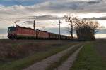 1144 117 und 1144 091, unterwegs am 11.04.2013 um 18:38 bei Wien Senbrunn in Richtung Norden.