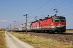 1144 058 + 1144 052 fahren mit RCA Talns GAG am 17.07.2013 bei Wampersdorf in Richtung Wiener Neustadt.