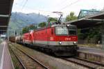 1144 091, 1116 XXX, Zell am See, 8.8.2013