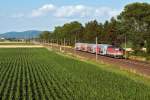 REX 7136 nach Krems an der Donau, am 03.07.2014 kurz vor Tulln.