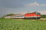 Der wegen Bauarbeiten neu über die Pottendorfer-Linie verkehrende D-459 mit 1144.126 bei aufkommenden Gewitter vor Unter-Eggendorf am 17.7.14