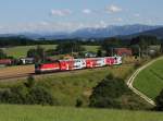 Die 1144 273 mit einem Sonderzug am 17.08.2014 unterwegs bei Pöndorf.