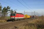 1144.229 fährt mit SG-91215 auf der Neunkirchner Allee bei Wr.Neustadt Richtung Semmering am 16.11.14