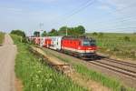 Am Abend des 8.5.15 fährt 1144.091 mit R-2251 am frisch ausgeschnittenen Streckenstück kurz vor der Hst.Guntramsdorf-Thallern vorbei.