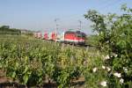 Weinbergromantik an der Südbahn durch 1144.276 mit R-2349 am 5.6.15