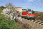 In herrlichster Frühlingsstimmung verlässt 1144.083 mit R-2347 den Busserltunnel zwischen Gumpoldskirchen und Pfaffstätten am 31.3.16.