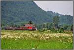 Eine 1144 rollt mit einem kurzen Gterzug Richtung Kufstein.