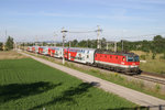 Bei herrlichsten Licht fährt 1144.209 mit R-2251 am 4.8.16 bei der neu ausgeschnittenen Fotostelle nach Wr.Neustadt auf der Neunkirchner-Allee richtung Payerbach/R.