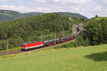 Die bestens gepflegte 1144.201 rollt mit GAG-47046 bei der Steinbauer-Wiese am Eichberg talwärts.