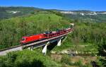 1216 144 mit einem Autozug am 05.05.2023 bei Rižana.