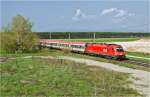 1216 227 mit dem EC 172  Vindobona  von Villach Hbf nach Hamburg Altona bei Wiener Neustadt, 25.4.2013