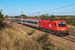 1216 230 mit EC 173  Vindobona  nach Villach, am 02.08.2013 bei Deutsch Wagram.