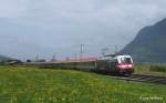 1216 020  175 Jahre Eisenbahn  passiert am 03.05.13 mit ihrem Brenner-EC aus Mnchen Niederaudorf Richtung Innsbruck.