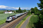 1216 955 mit einem Kesselzug am 07.06.2017 bei Stephansposching.