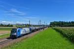 1216 910 mit einem Kesselzug am 14.08.2017 bei Kimpling.