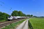 1216 955 mit einem Kesselzug am 11.05.2018 bei Langenisarhofen.